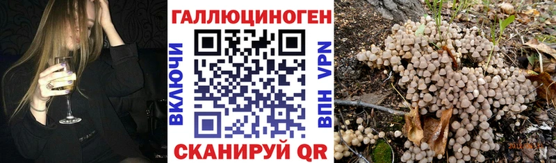 Галлюциногенные грибы мухоморы  хочу   Кимры 