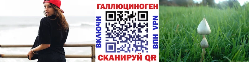 Галлюциногенные грибы Cubensis Кимры